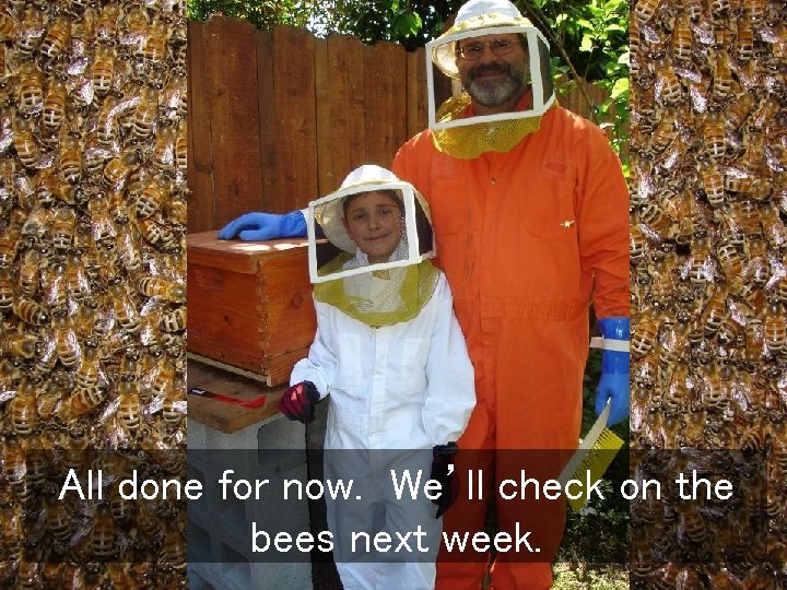 All done for now. We’ll check on the bees next week. 