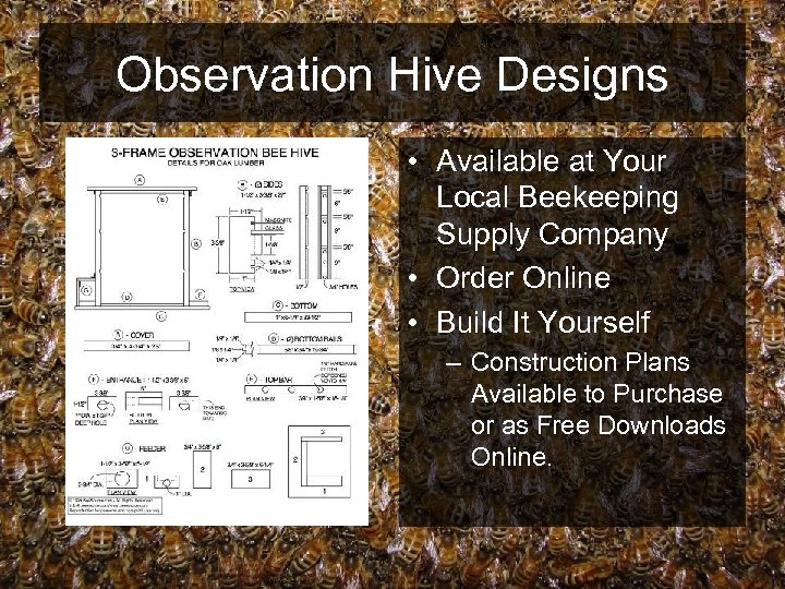 Observation Hive Designs • Available at Your Local Beekeeping Supply Company • Order Online