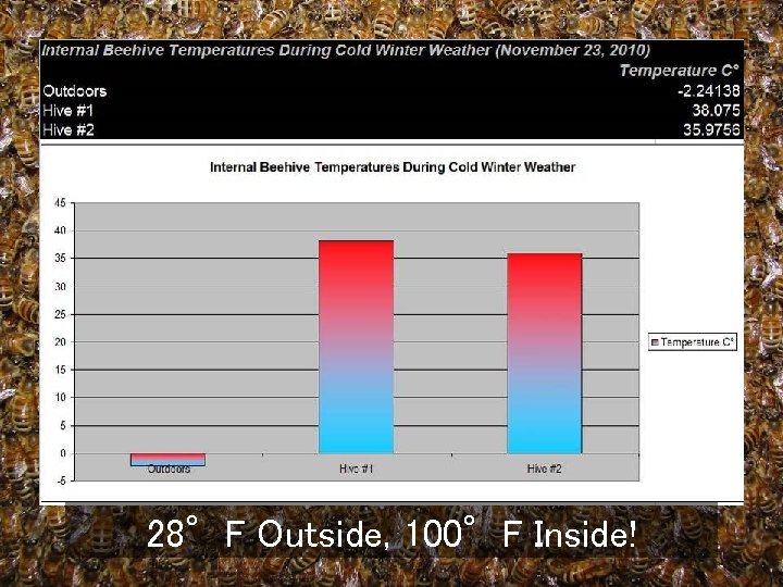 28°F Outside, 100°F Inside! 