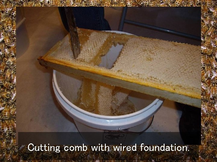 Cutting comb with wired foundation. 