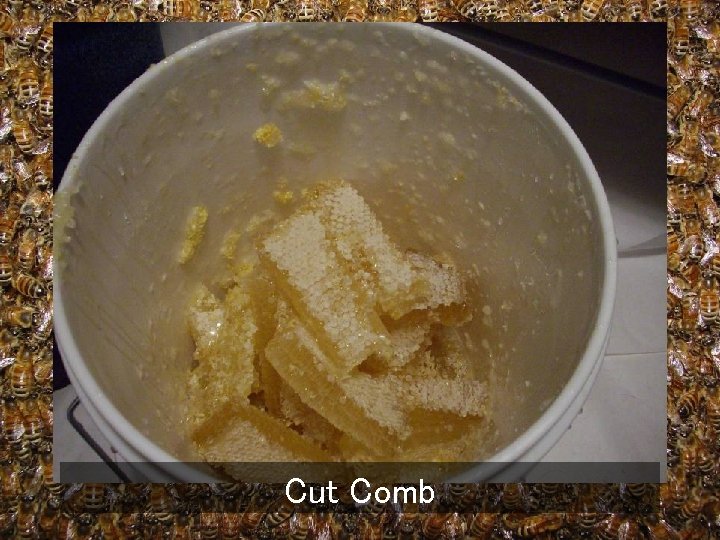 Cut Comb 