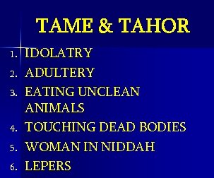 TAME & TAHOR 1. 2. 3. 4. 5. 6. IDOLATRY ADULTERY EATING UNCLEAN ANIMALS
