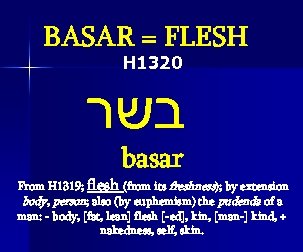 BASAR = FLESH H 1320 בשר basar From H 1319; flesh (from its freshness);
