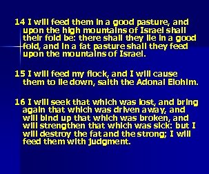 14 I will feed them in a good pasture, and upon the high mountains