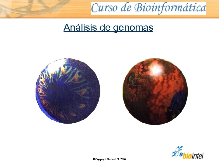 Análisis de genomas © Copyright Ebiointel, SL 2006 