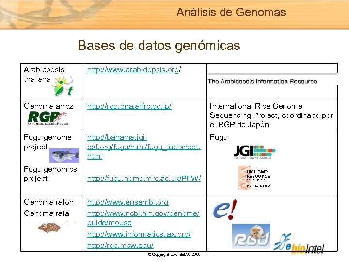 Análisis de Genomas Bases de datos genómicas Arabidopsis thaliana http: //www. arabidopsis. org/ Genoma