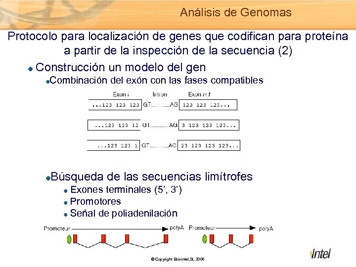 Análisis de Genomas Protocolo para localización de genes que codifican para proteína a partir