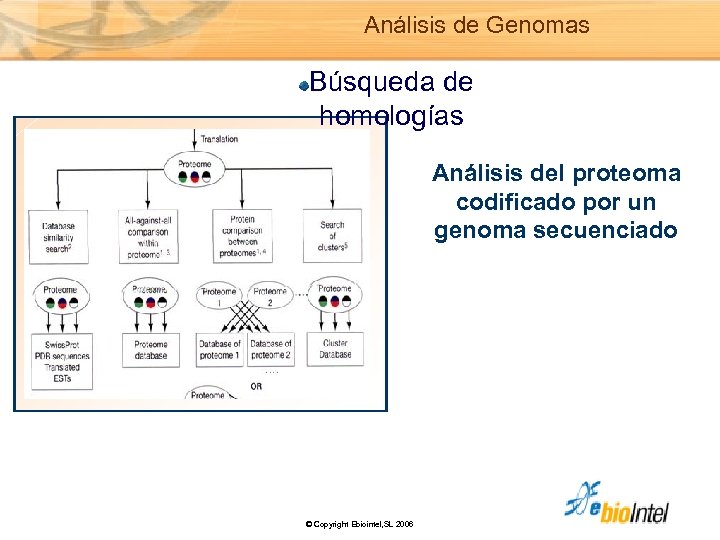 Análisis de Genomas Búsqueda de homologías Análisis del proteoma codificado por un genoma secuenciado