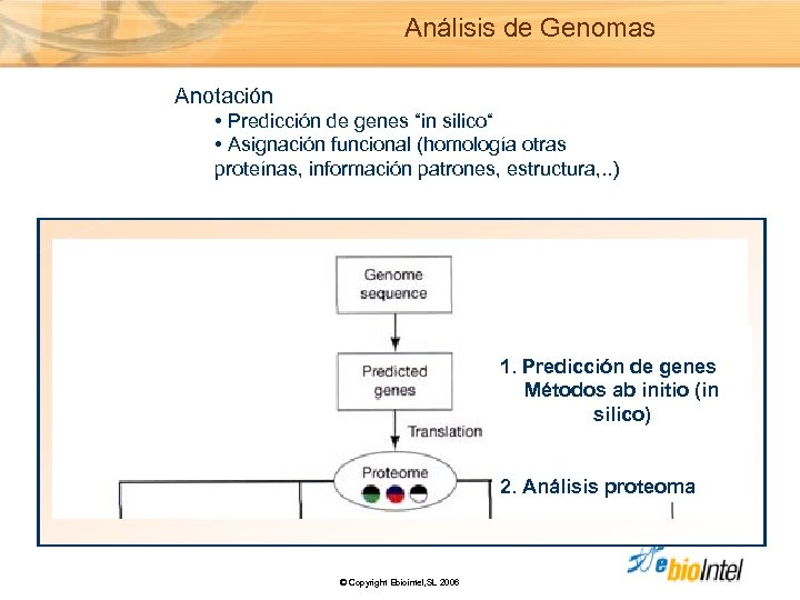 Análisis de Genomas Anotación • Predicción de genes “in silico“ • Asignación funcional (homología