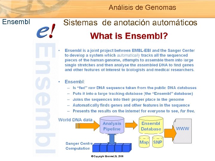 Análisis de Genomas Ensembl Sistemas de anotación automáticos © Copyright Ebiointel, SL 2006 