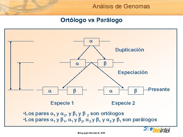 Análisis de Genomas Ortólogo vs Parálogo Duplicación Especiación Especie 1 Presente Especie 2 •