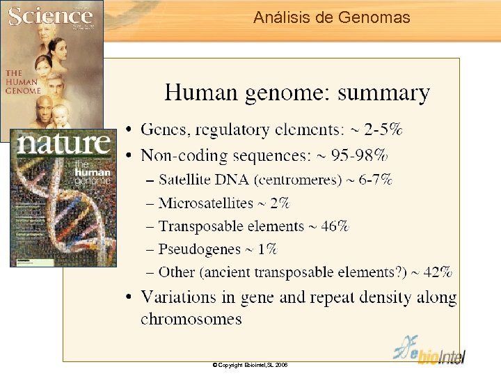 Análisis de Genomas © Copyright Ebiointel, SL 2006 