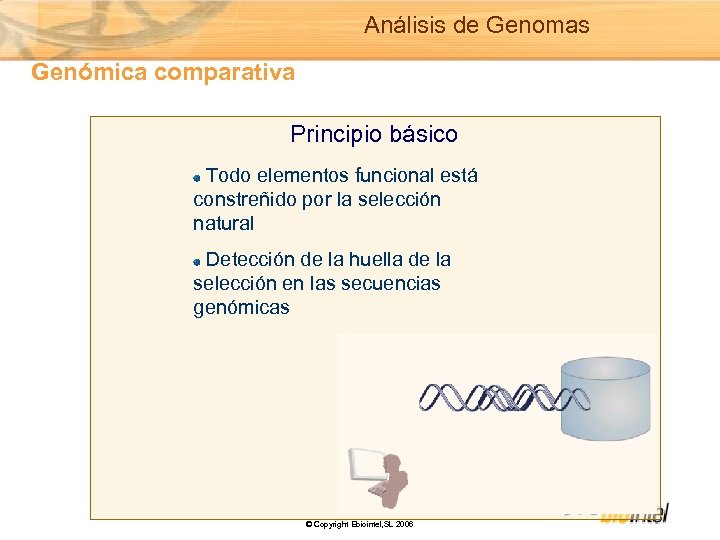 Análisis de Genomas Genómica comparativa Principio básico Todo elementos funcional está constreñido por la