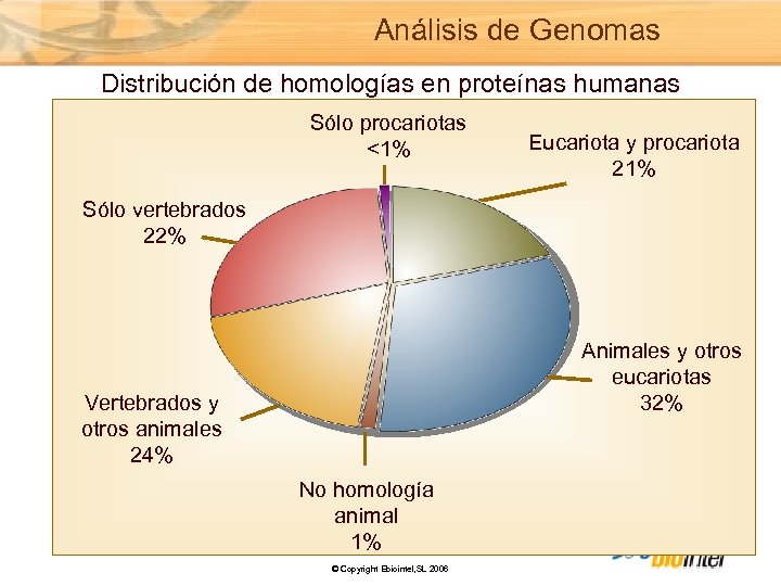 Análisis de Genomas Distribución de homologías en proteínas humanas Sólo procariotas <1% Eucariota y