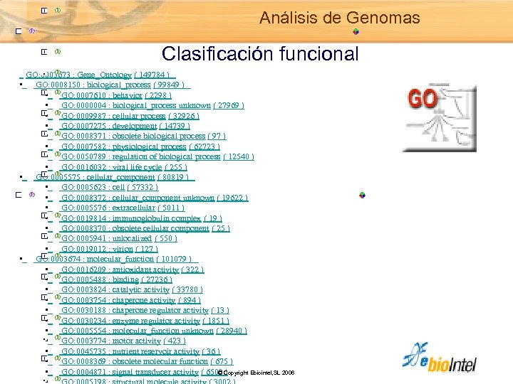 Análisis de Genomas Clasificación funcional GO: 0003673 : Gene_Ontology ( 149784 ) • GO: