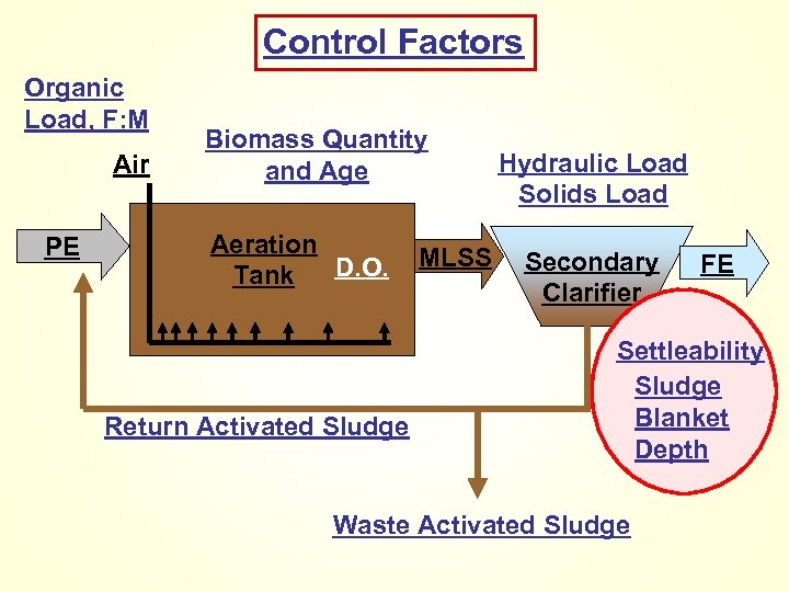 Control Factors Organic Load, F: M Air PE Biomass Quantity and Age Aeration D.