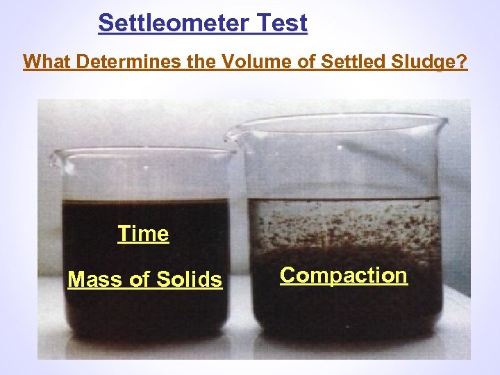 Settleometer Test What Determines the Volume of Settled Sludge? Time Mass of Solids Compaction