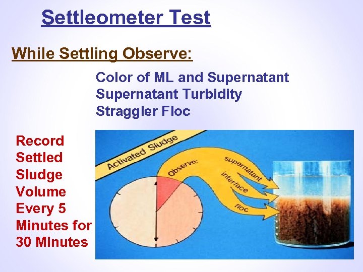 Settleometer Test While Settling Observe: Color of ML and Supernatant Turbidity Straggler Floc Record