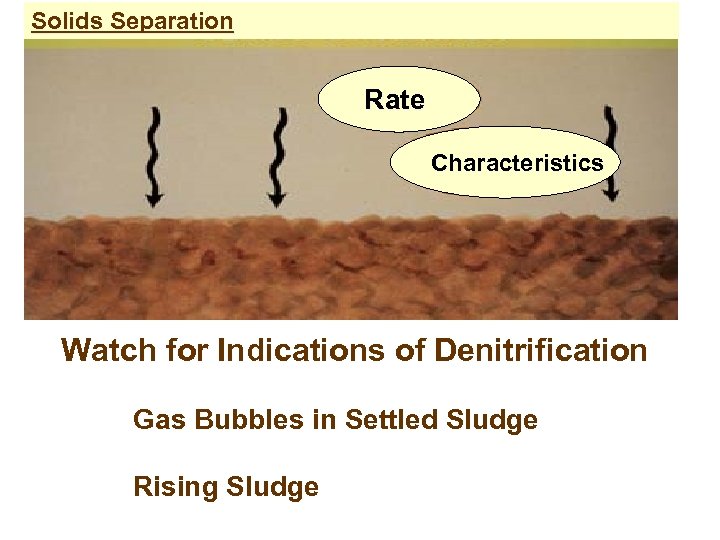 Solids Separation Rate Characteristics Watch for Indications of Denitrification Gas Bubbles in Settled Sludge