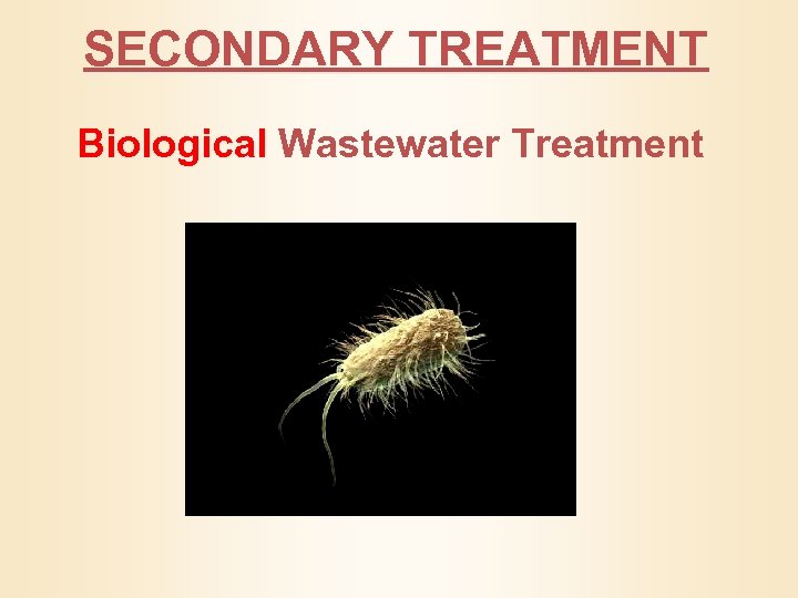 SECONDARY TREATMENT Biological Wastewater Treatment 