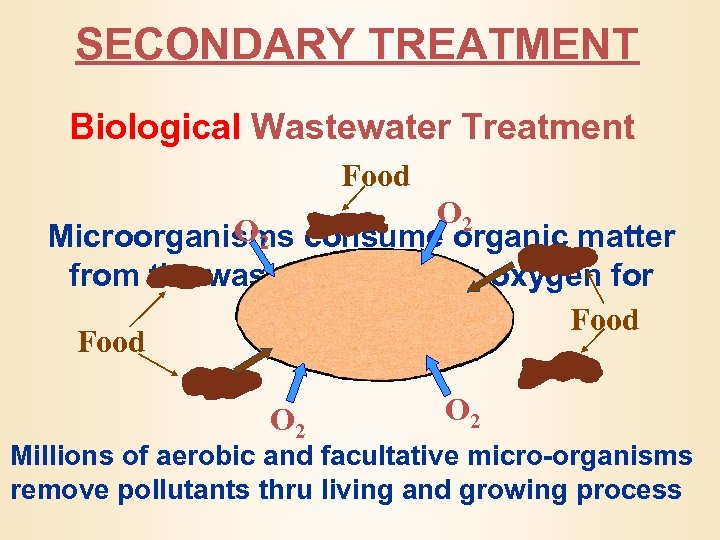 SECONDARY TREATMENT Biological Wastewater Treatment Food O 2 Microorganisms consume organic matter from the