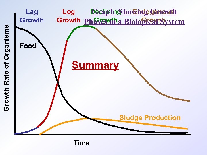 Growth Rate of Organisms Lag Growth Log Declining Endogenous Graph Showing Growth Phases in