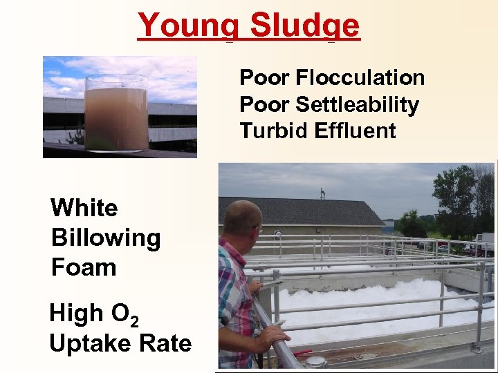 Young Sludge Poor Flocculation Poor Settleability Turbid Effluent White Billowing Foam High O 2