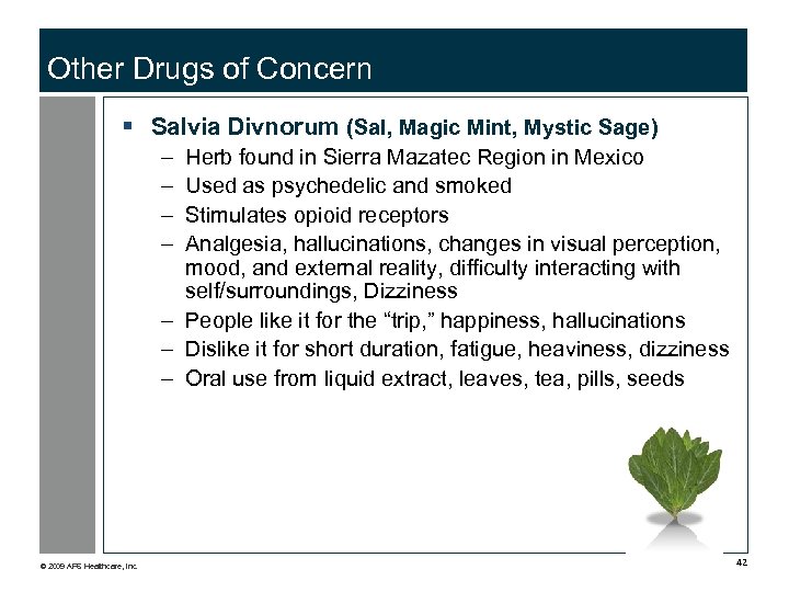 Other Drugs of Concern § Salvia Divnorum (Sal, Magic Mint, Mystic Sage) – –