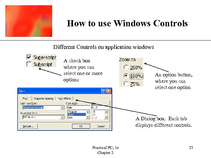 XP How to use Windows Controls Different Controls on application windows A check box