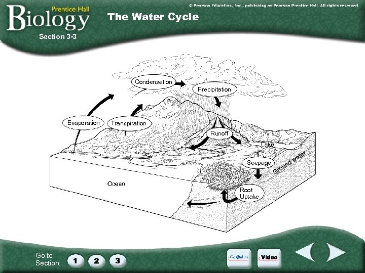 The Water Cycle Section 3 -3 Condensation Precipitation Evaporation Transpiration Runoff Seepage Root Uptake