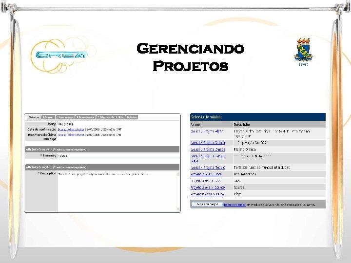 Gerenciando Projetos 