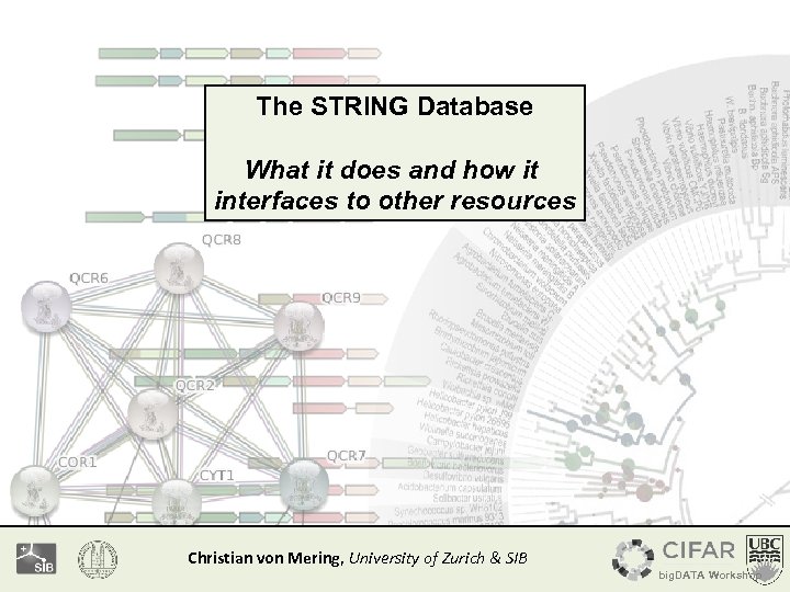 The STRING Database What it does and how