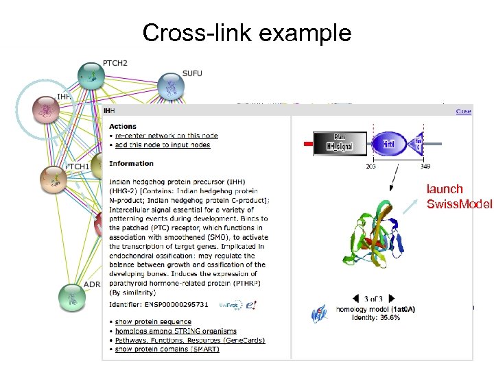 Cross-link example launch Swiss. Model 