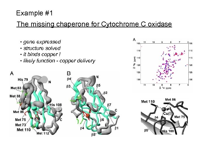 Example #1 The missing chaperone for Cytochrome C oxidase • gene expressed • structure