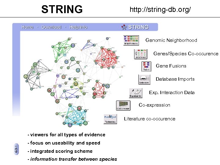 STRING http: //string-db. org/ Genomic Neighborhood Genes/Species Co-occurence Gene Fusions Database Imports Exp. Interaction