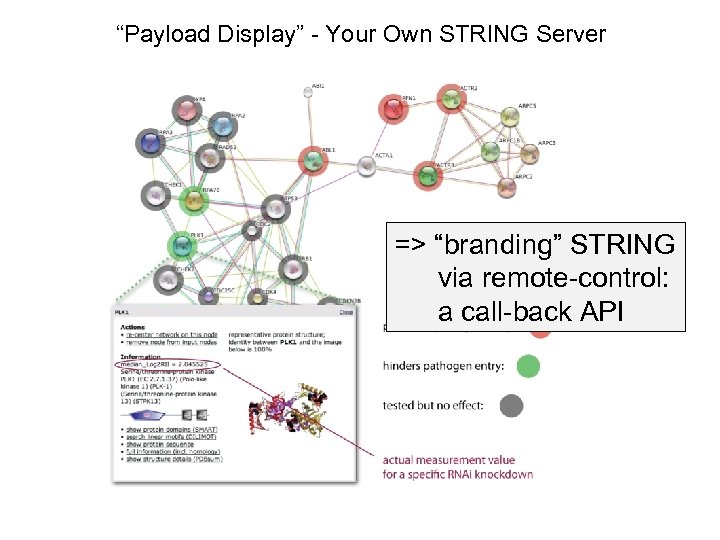 “Payload Display” - Your Own STRING Server => “branding” STRING via remote-control: a call-back