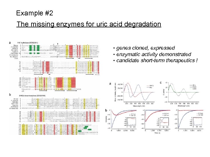 Example #2 The missing enzymes for uric acid degradation • genes cloned, expressed •