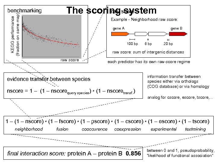 KEGG performance (fraction on same map) benchmarking raw system The scoringscore Example - Neighborhood