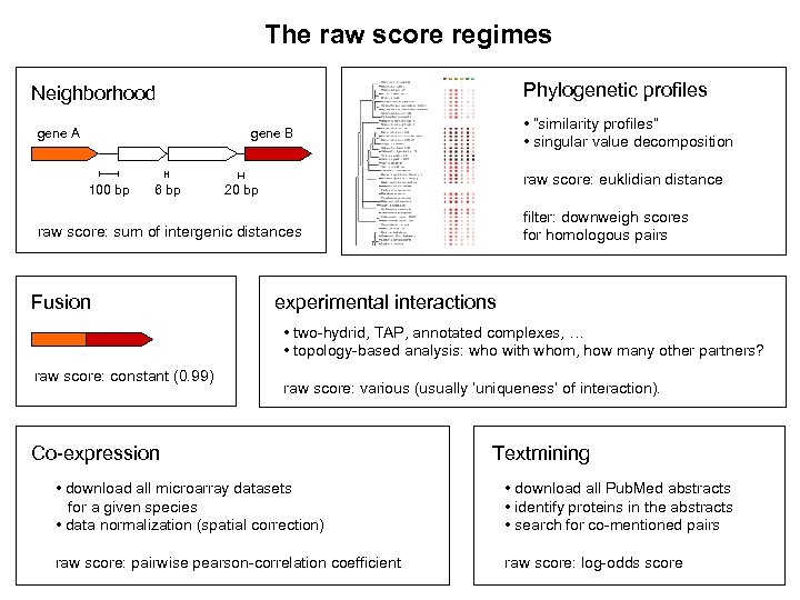 The raw score regimes Phylogenetic profiles Neighborhood gene A • “similarity profiles” • singular