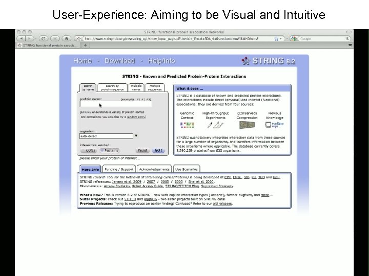 User-Experience: Aiming to be Visual and Intuitive 