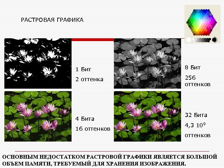 РАСТРОВАЯ ГРАФИКА 1 Бит 8 Бит 2 оттенка 256 оттенков 4 Бита 16 оттенков