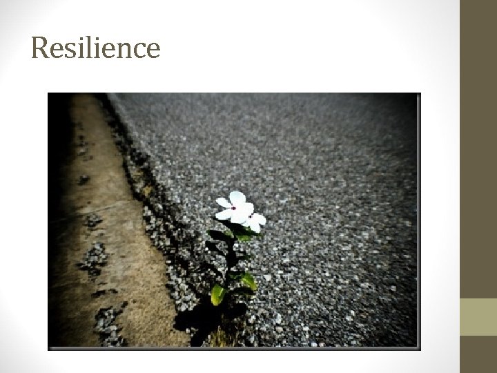 Resilience 