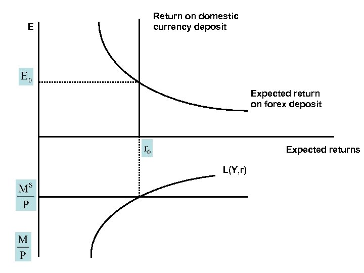 E Return on domestic currency deposit Expected return on forex deposit Expected returns L(Y,