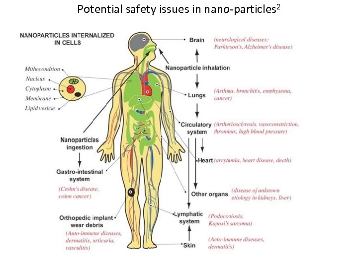 Potential safety issues in nano-particles 2 