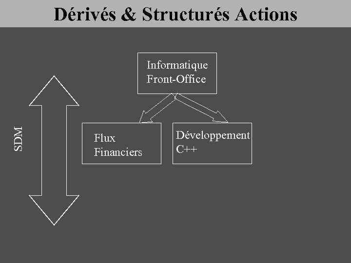 Dérivés & Structurés Actions SDM Informatique Front-Office Flux Financiers Développement C++ 