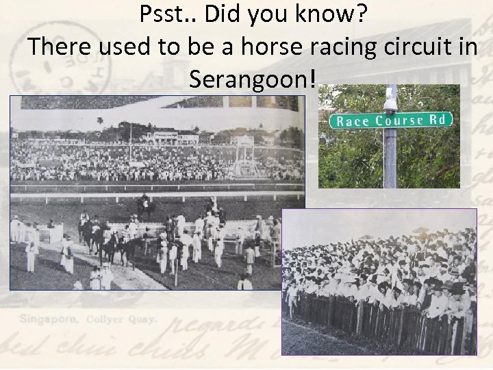 Psst. . Did you know? There used to be a horse racing circuit in