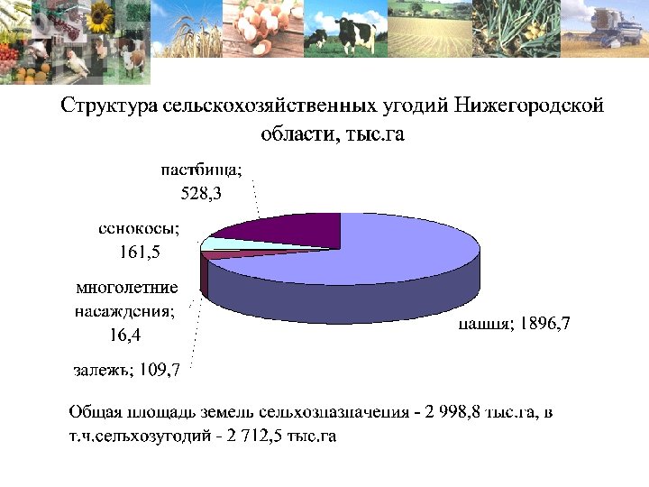 Аграрная структура. Структура сельскохозяйственных угодий России. Площадь сельскохозяйственных угодий. Структура сельскохозяйственных угодий в РФ. Площадь сельскохозяйственных угодий в Нижегородской области.