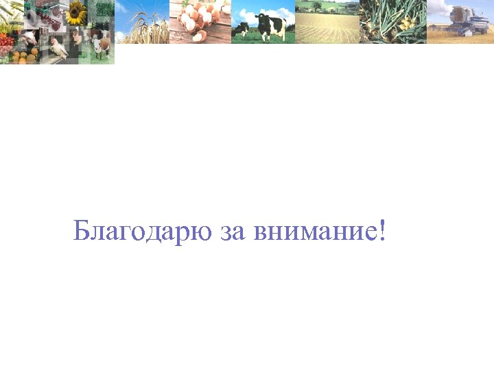 Благодарю за внимание! 