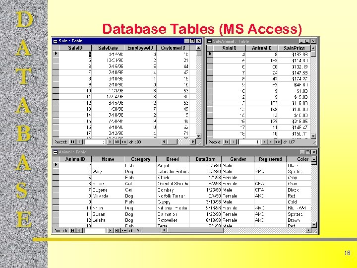 D A T A B A S E Database Tables (MS Access) 18 