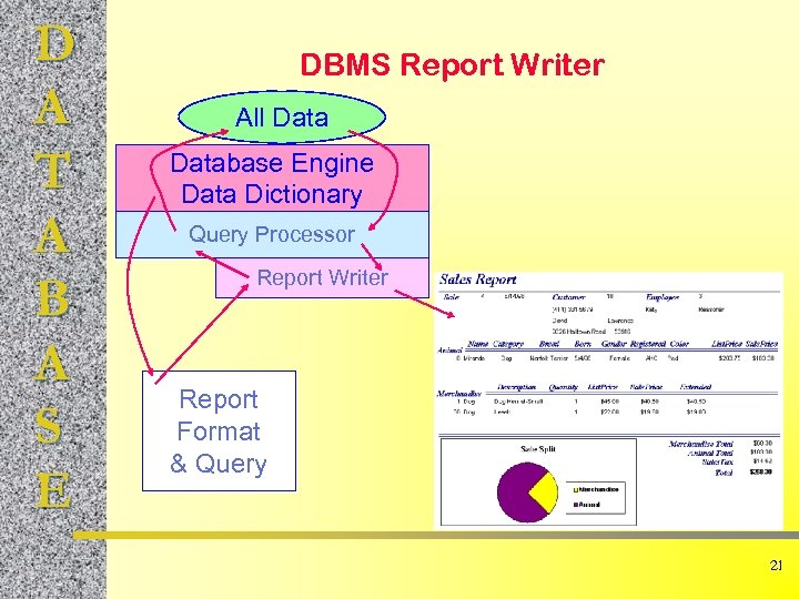 D A T A B A S E DBMS Report Writer All Database Engine